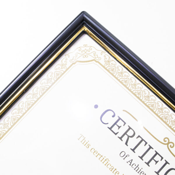Document Frame with&nbsp;Gold Border 8.5″ X 11″ #1402