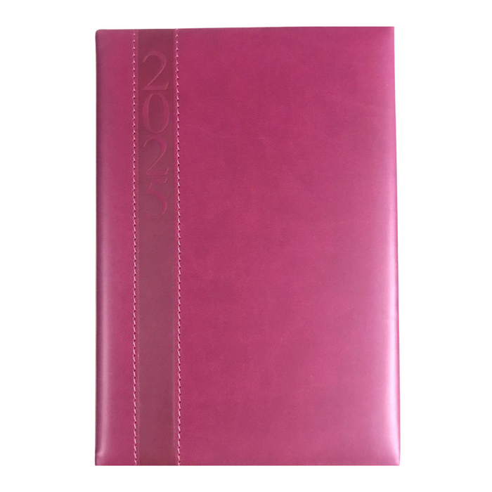 2025 AGENDA W/STRIP ASSTD COLOR BROWN, BLACK, GREEN, MAROON, BLUE & GREY