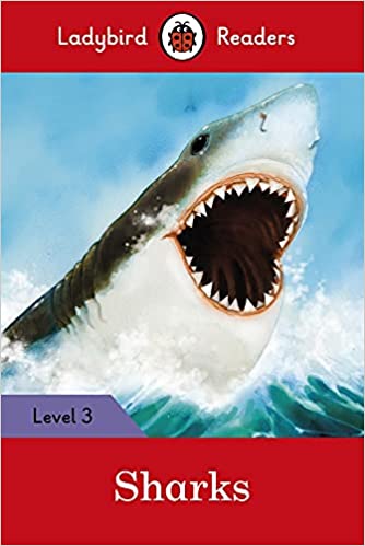 Ladybird Sharks - Level 3
