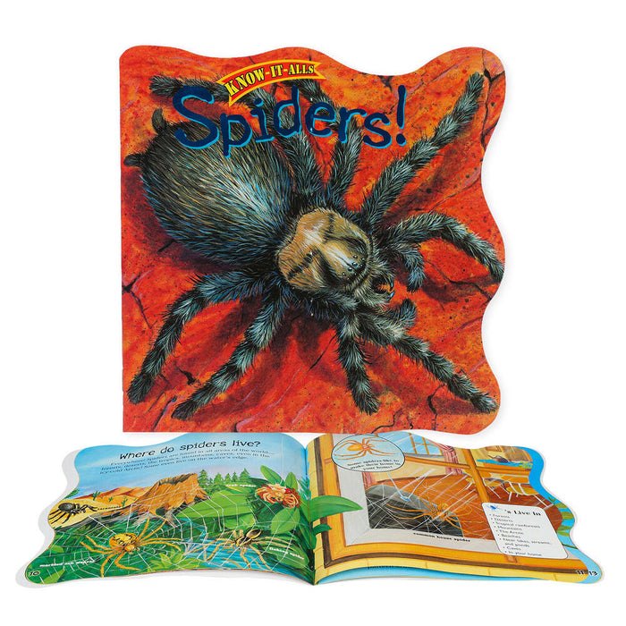 Die Cut Board Book Spiders