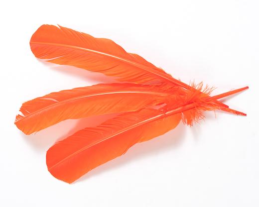 Quill Feathers Orange 4Pc
