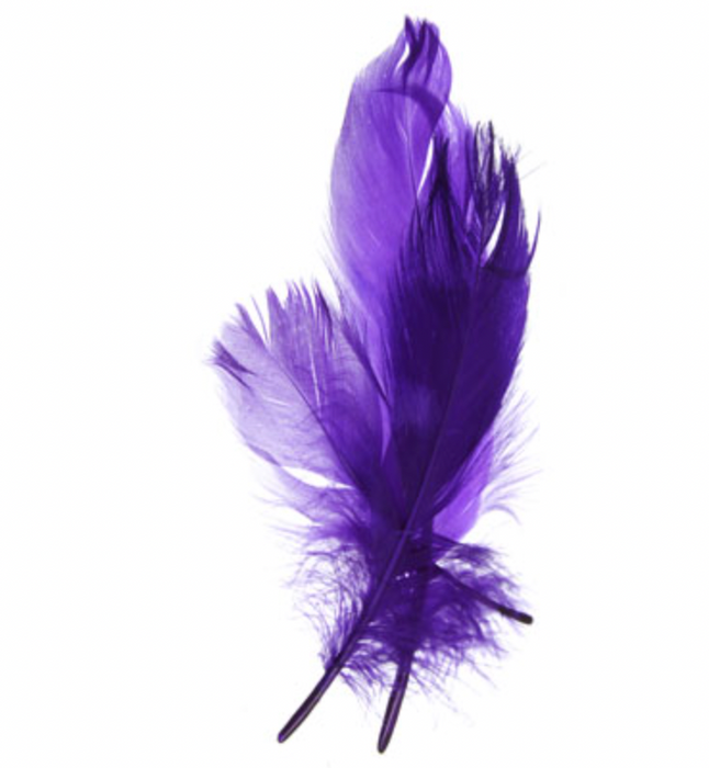 Goose Feathers 9G, 7" Lilac