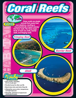 Wall Chart Coral Reefs