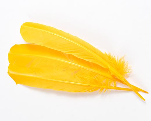 Quill Feathers Yellow 4Pc