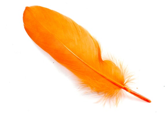 Goose Feathers 9G, 7" Orange