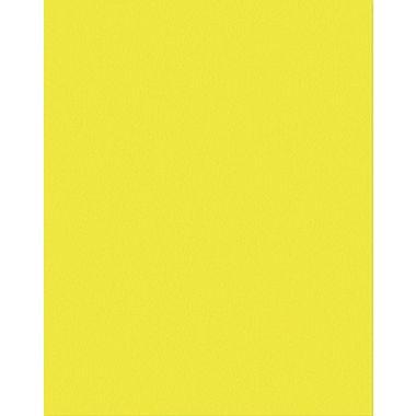New Bristol Buff (Pale Yellow) 22.5X35
